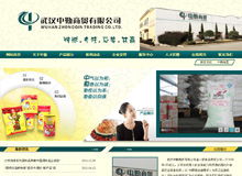 武汉新网科技 专业网站建设与推广一体化服务，打造您的线上核心竞争力